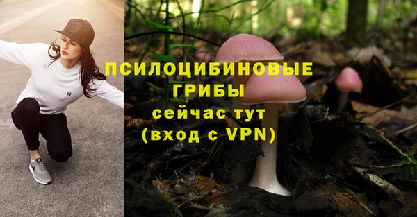 ешки Снежинск