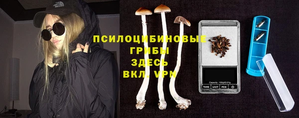 хмурый Снежногорск